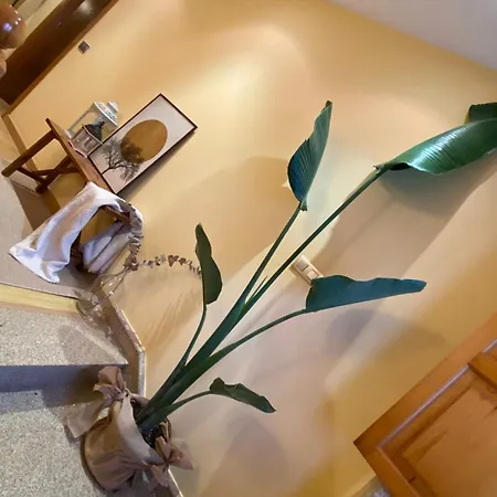 A Casa Do Muineiro Villa *