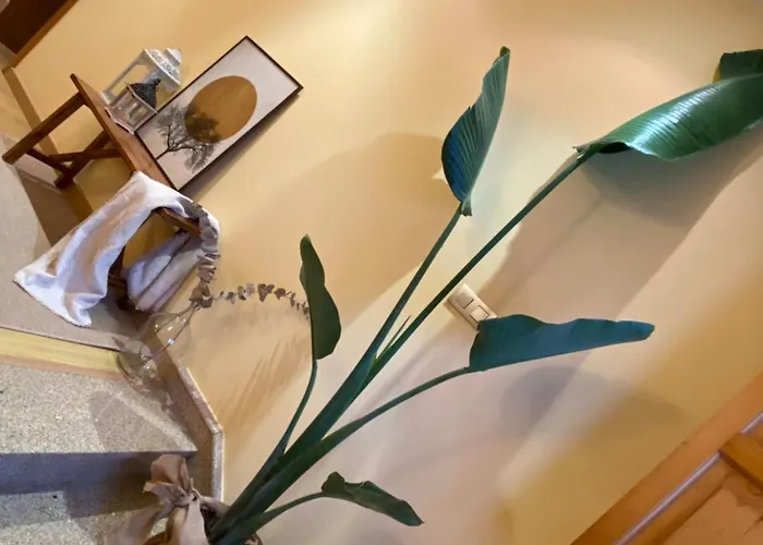 A Casa Do Muineiro Villa *